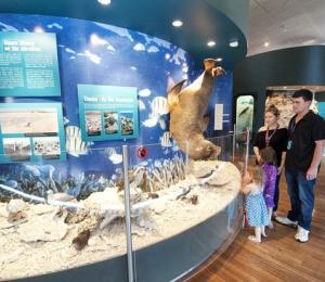 Geraldton Museum interior